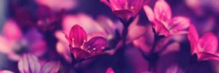 ZQazan's profile banner image