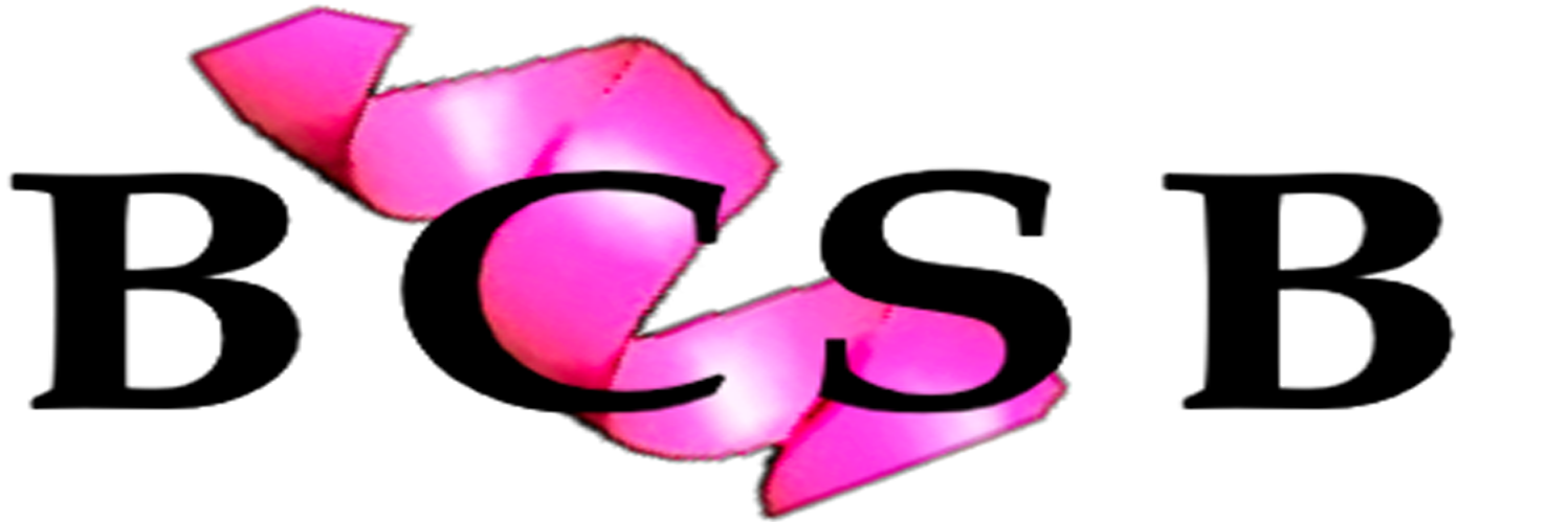 BCSB_at_ALS's profile banner image