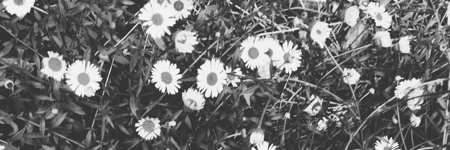 sarahtalksagain's profile banner image