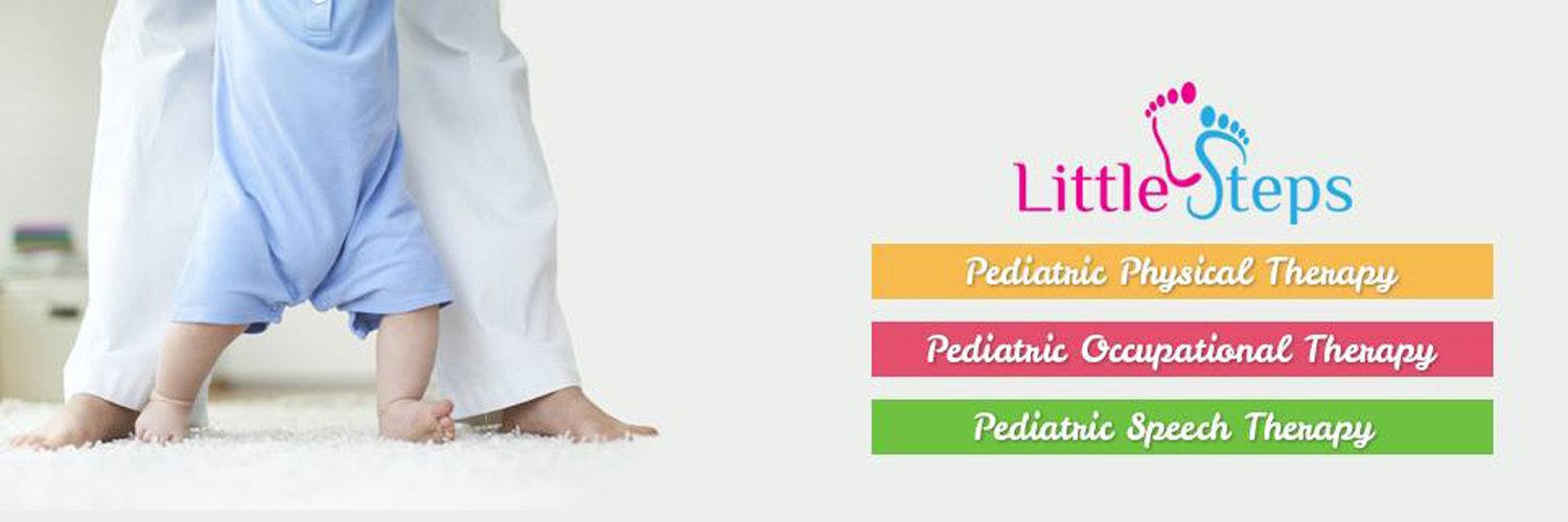 LittleStepsPT's profile banner image