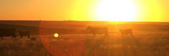 DreaWach's profile banner image