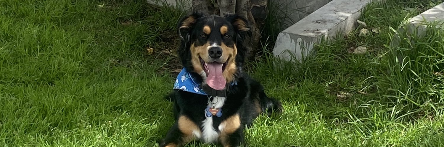 𝔖𝔱𝔢𝔣𝔞🤍🦦 banner