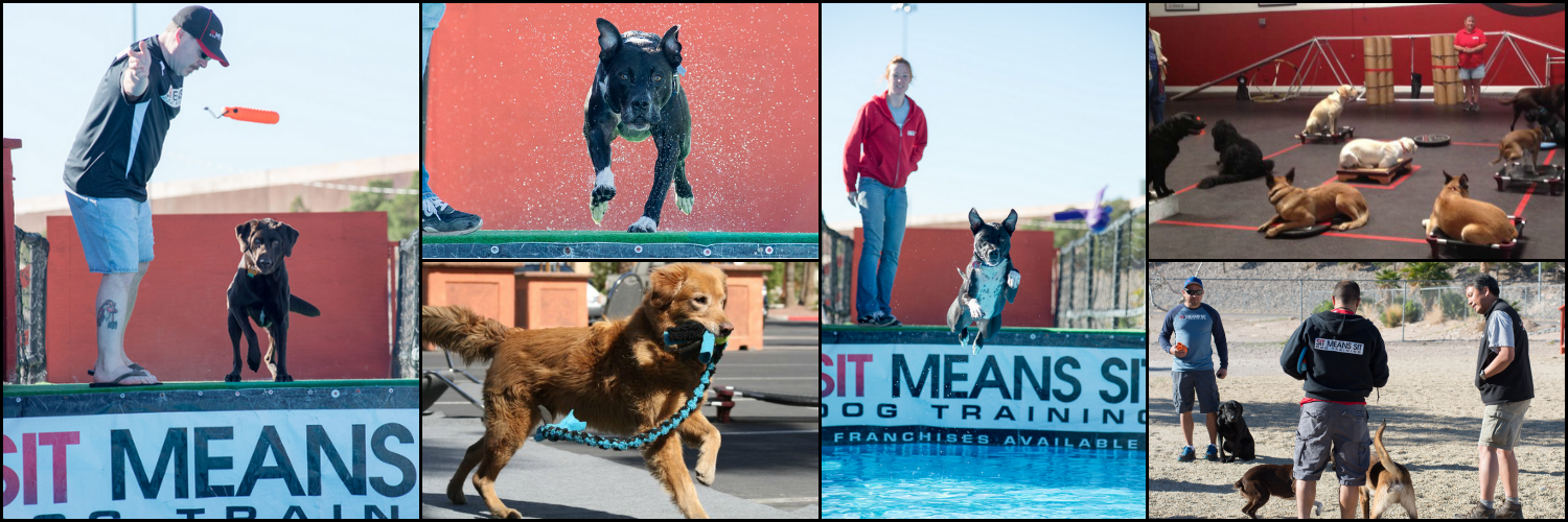 SitMeansSitLV's profile banner image