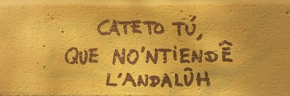 Pato banner