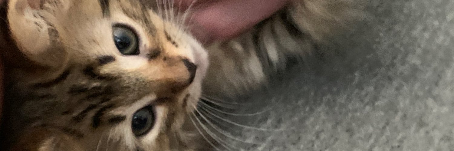 🤖❤️Susana M. 🤖❤️ banner