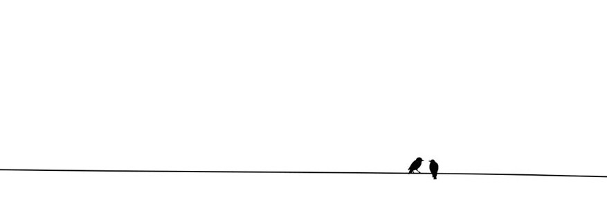 Albertgc95's profile banner image