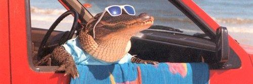 Russell_V5's profile banner image