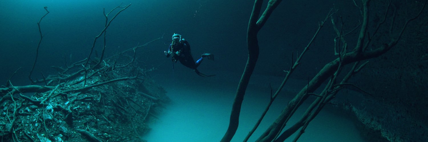 Tabitha Lipkin banner