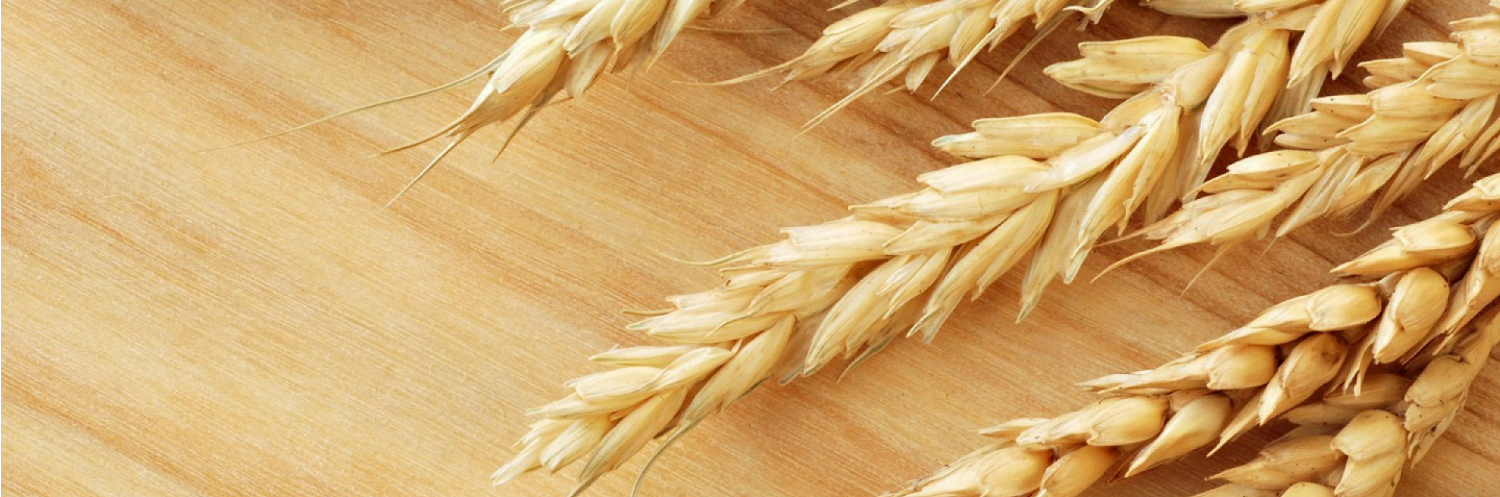 TroughSandwich's profile banner image