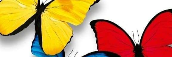 DICECA1's profile banner image