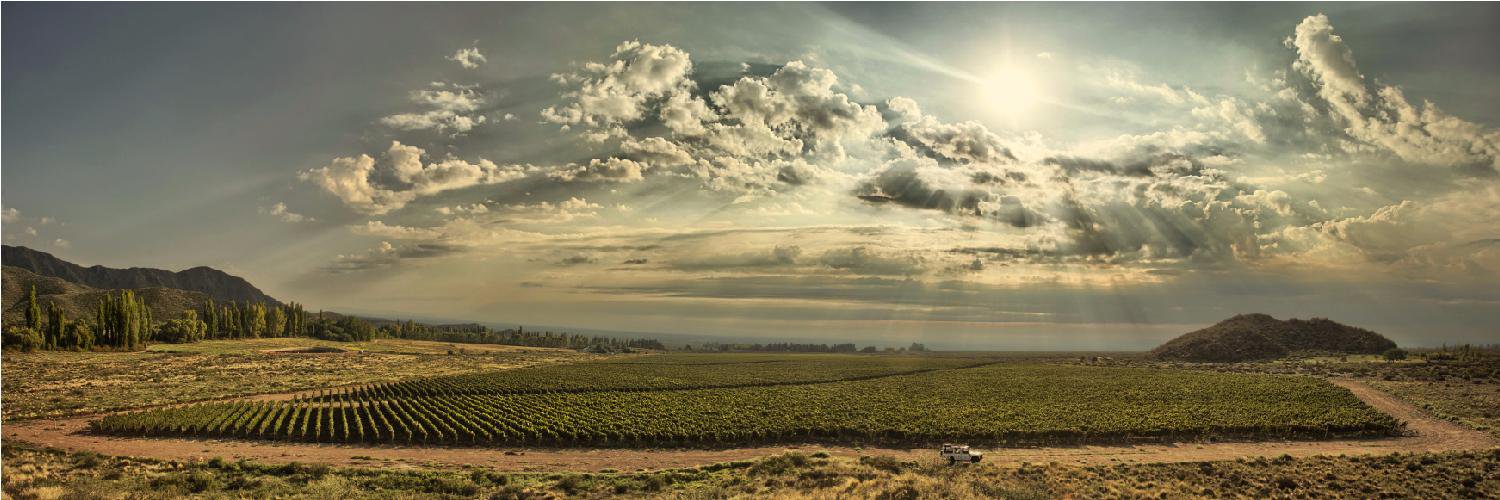 Mosquita Muerta banner