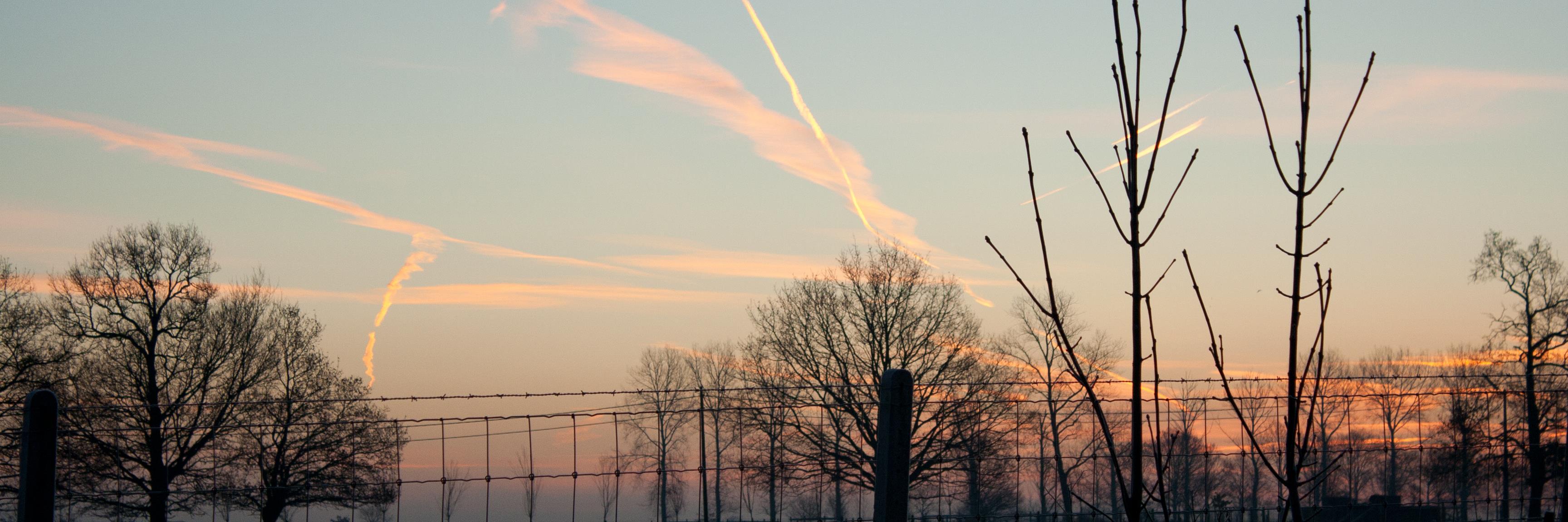 lodemt's profile banner image