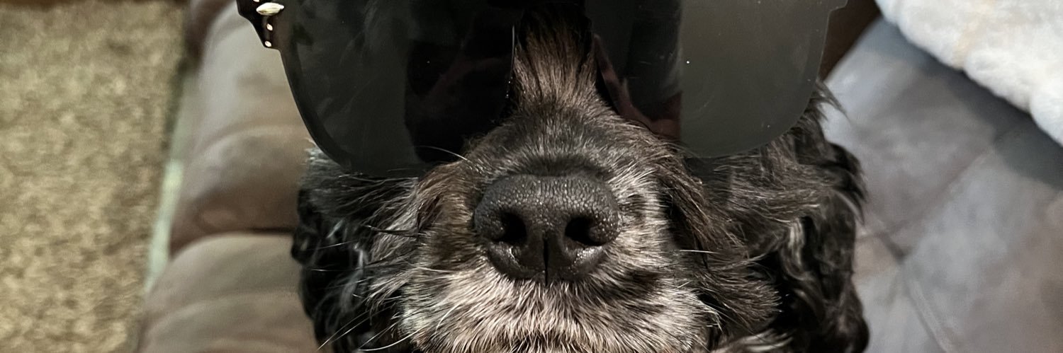 tyler10brown's profile banner image