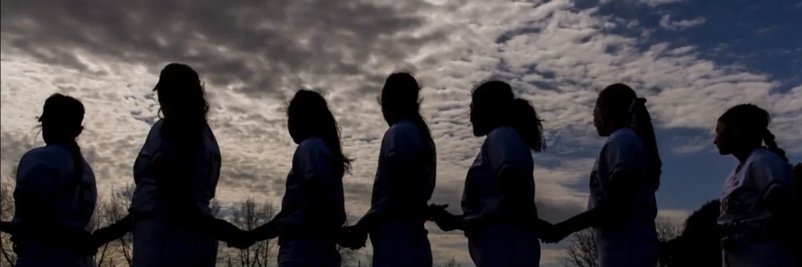 StevensSoftball's profile banner image