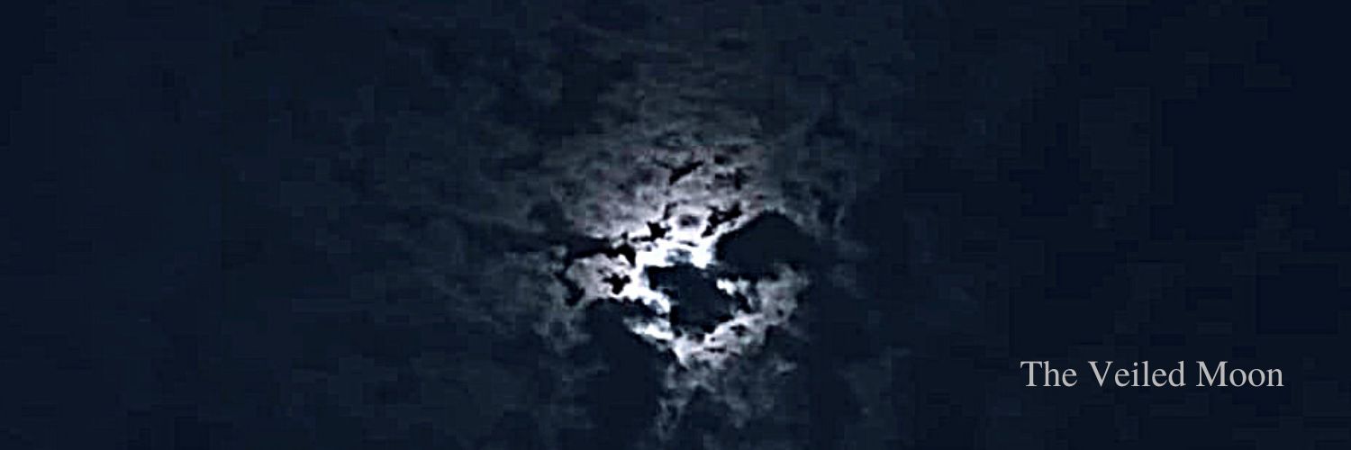 12_Bore's profile banner image