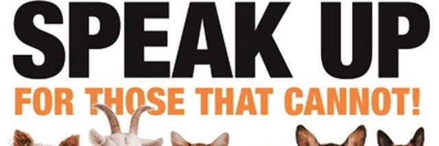 onlykutts's profile banner image