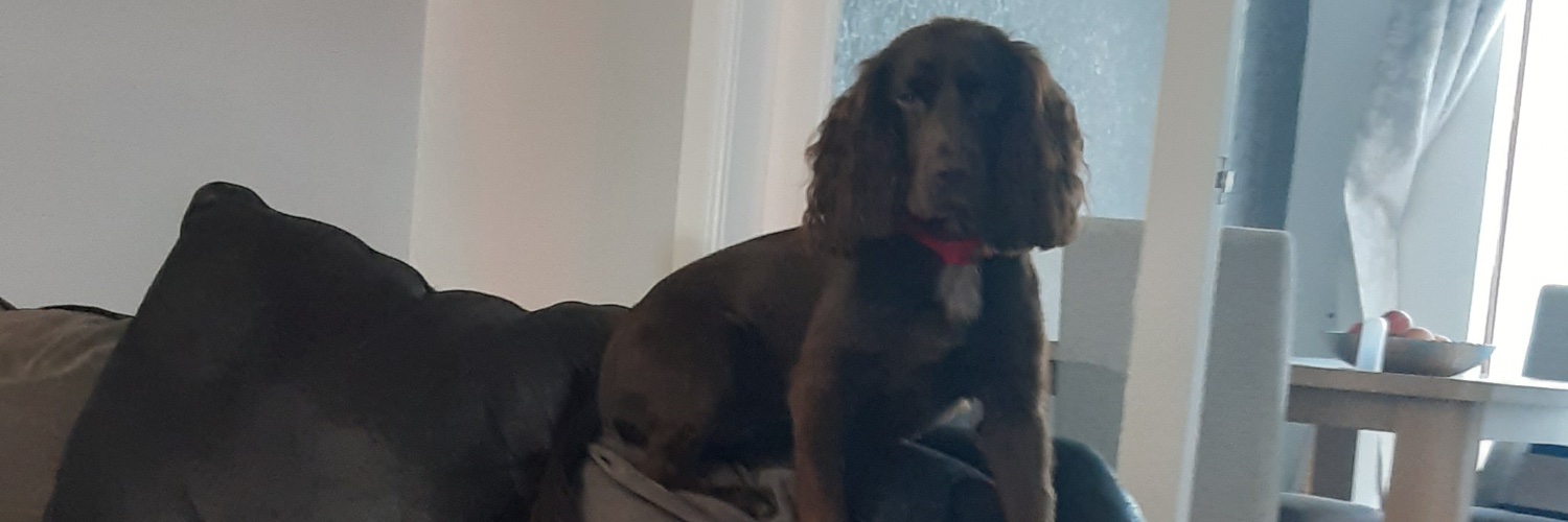 Jacques Rogues FBPE banner