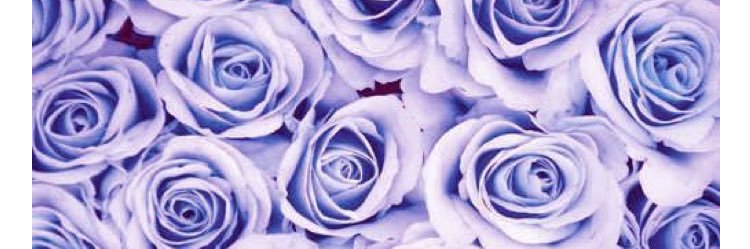 tweetrlessEm's profile banner image