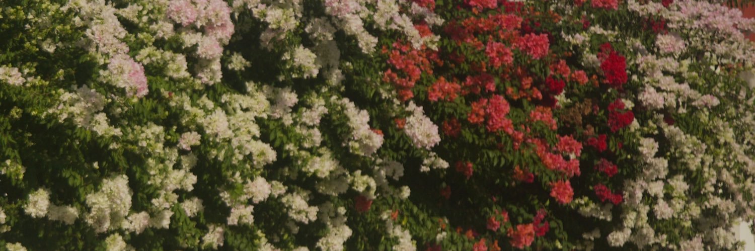 maaffdg's profile banner image