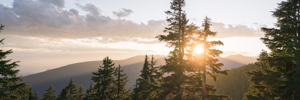 NonStopDest Profile Banner