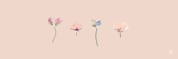 Mari_Brunooo's profile banner image