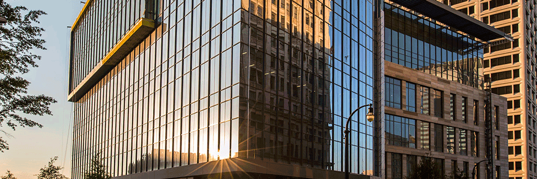 Erin Fuse Brown banner