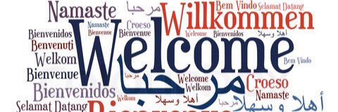 Towson Foreign Lang. banner