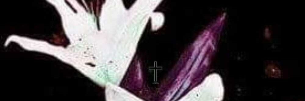 jbjulius671's profile banner image