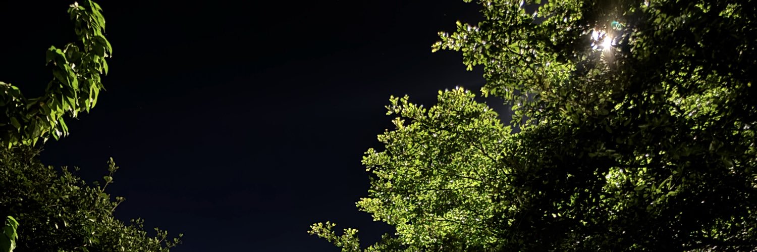 Redzoona's profile banner image