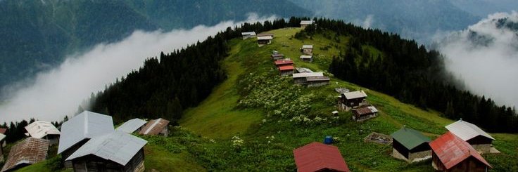 ozsevgecc's profile banner image