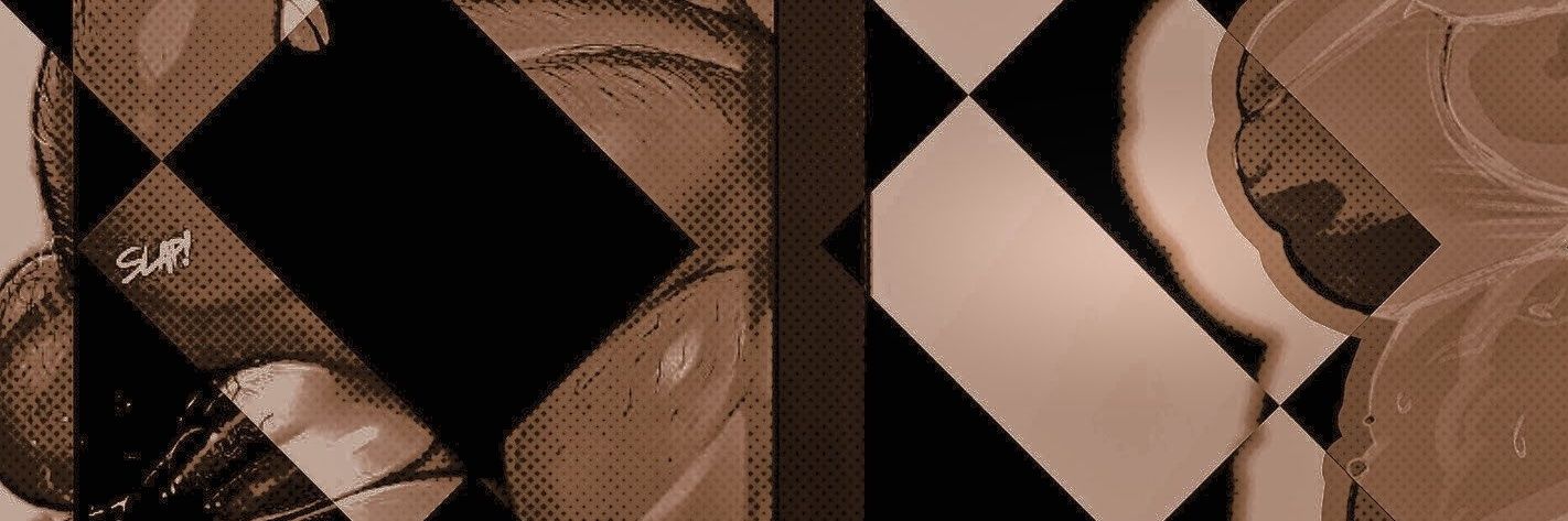 ╰ Fujiko ╯ banner