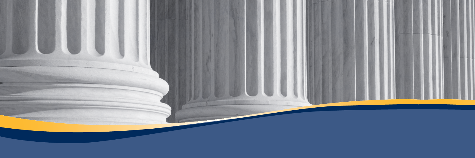 LSBA Young Lawyers banner