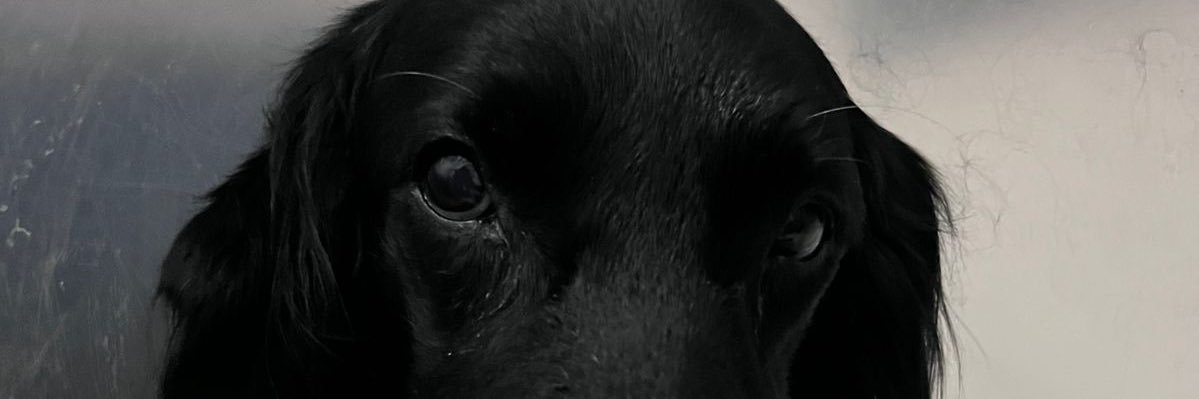 AtlVil's profile banner image