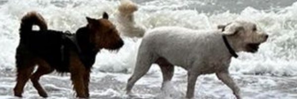 andyheeps Profile Banner