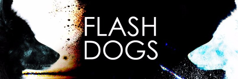 FlashDogs's profile banner image
