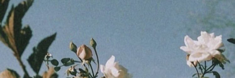 mel banner