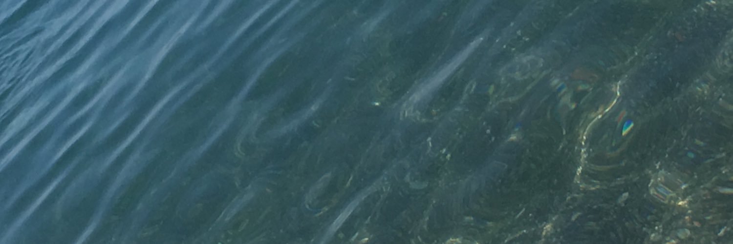 Carol_D83's profile banner image