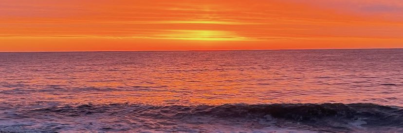 MichelaTorbik's profile banner image