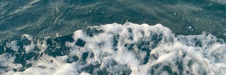 Cllx44's profile banner image