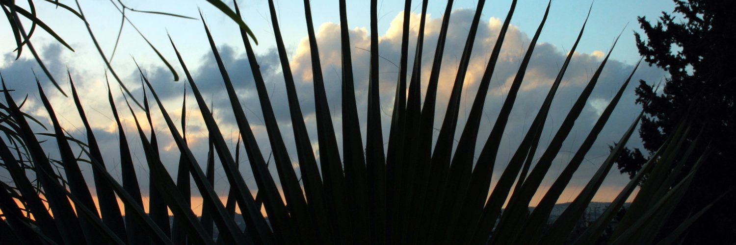 FayeGelb's profile banner image