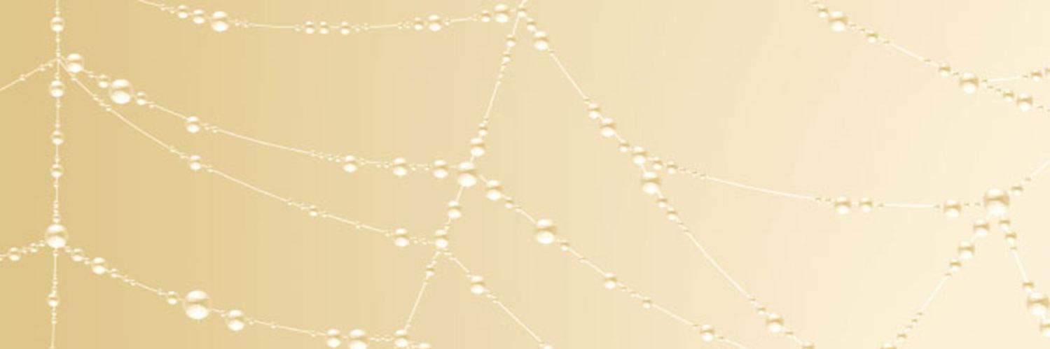 fluenttweet's profile banner image