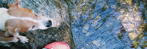 ninilo614 Profile Banner