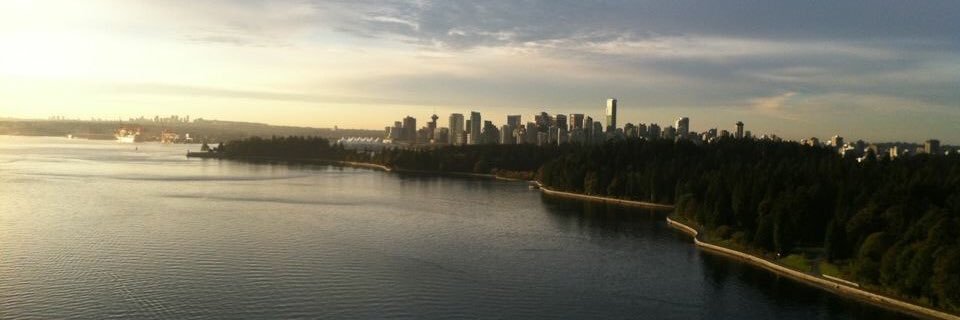 Amelia Poitras (she/her) banner