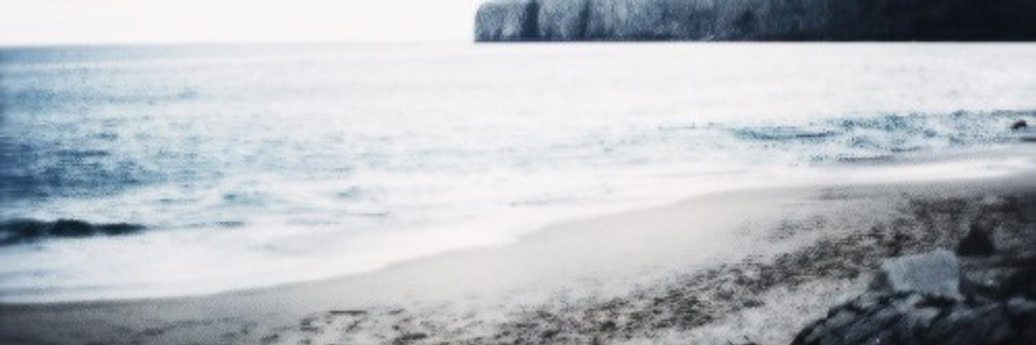 CockyShaneWalsh's profile banner image