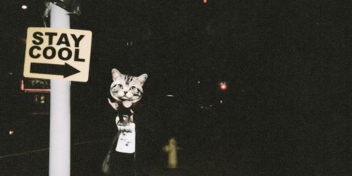 mukeandpayne's profile banner image
