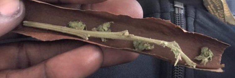 phyde26's profile banner image
