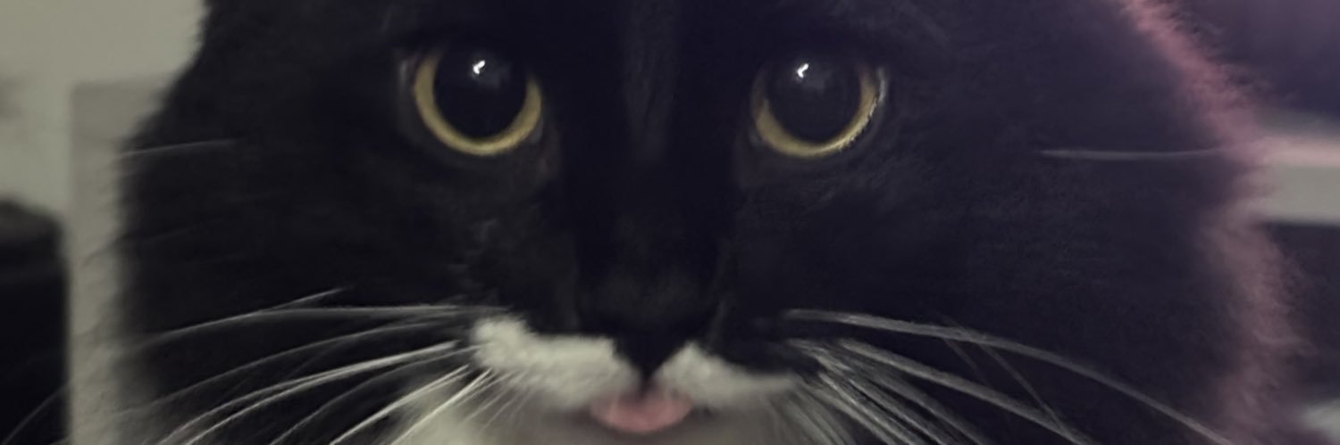 borgesbmp's profile banner image