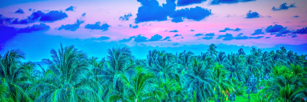 MgmtandAssoc's profile banner image