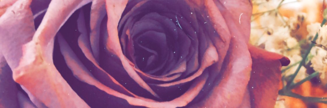 aboodaeu's profile banner image