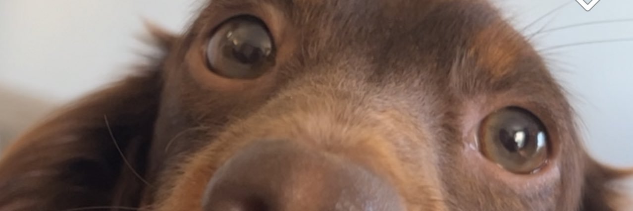whyjilliandrew's profile banner image